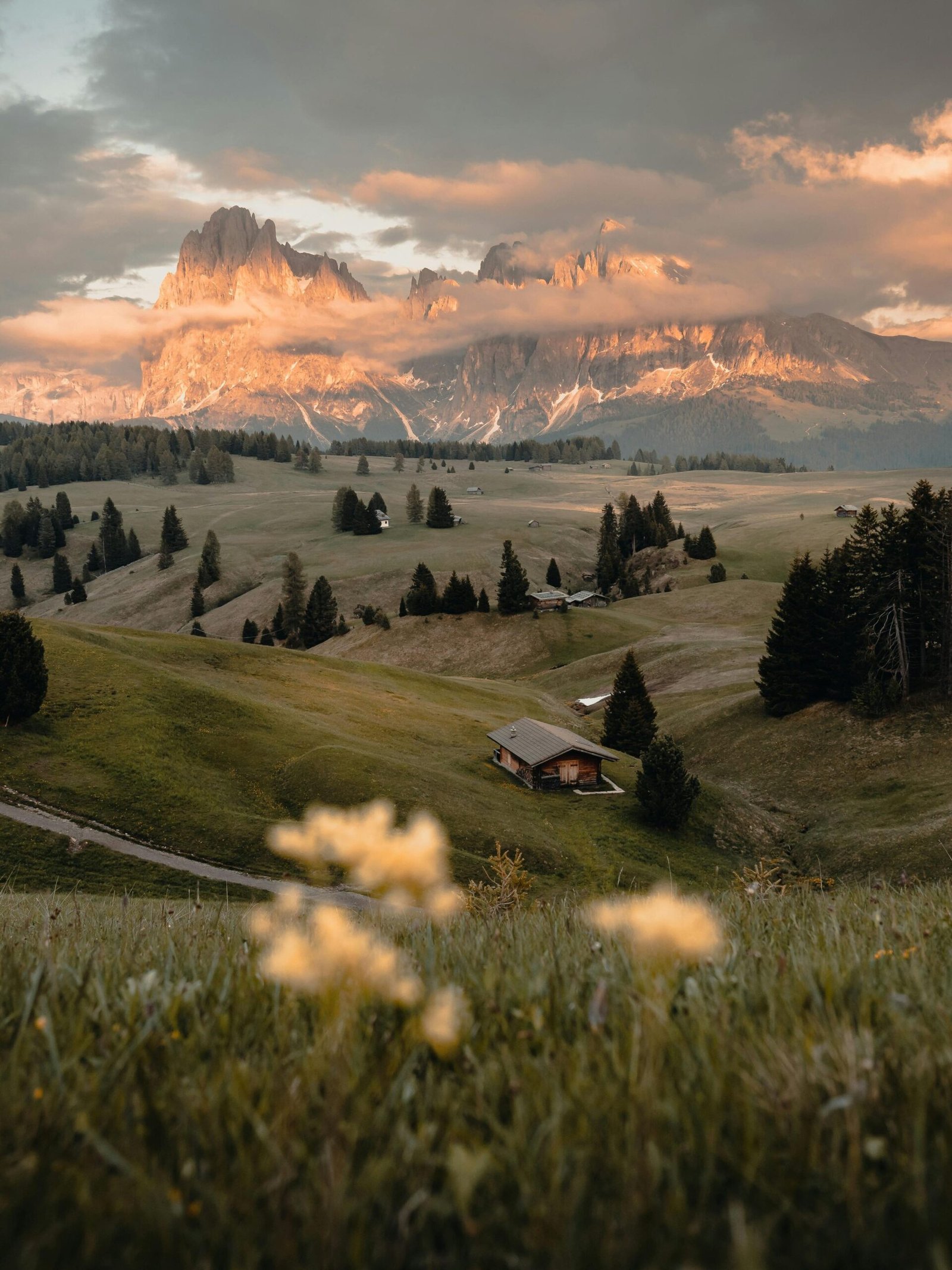 Alpe di Siusi