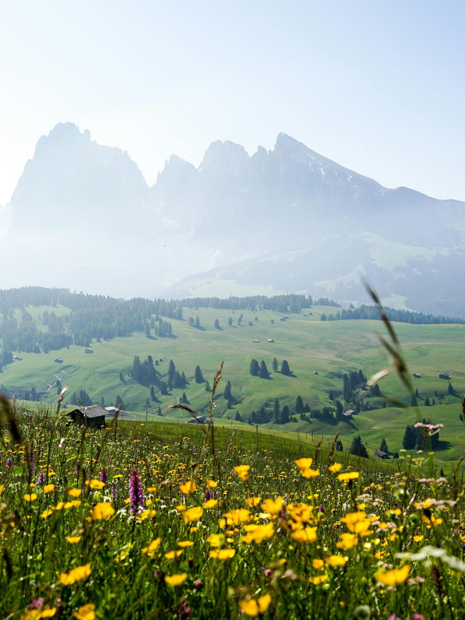 Seiser alm